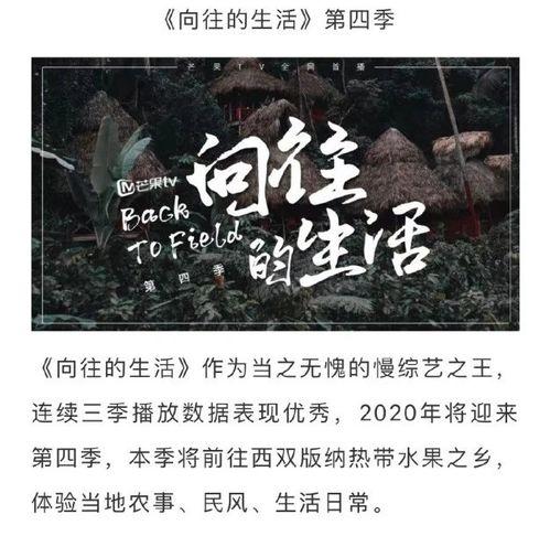 向往4最新爆料,明星们的生活日常大揭秘！