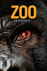 困兽在线观看,揭秘网络世界的生存法则